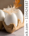 Easter, spring background. White chicken eggs with a feather in a egg carton box 134424387