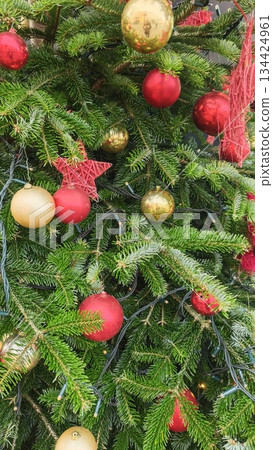 Christmas tree decorated with red and gold baubles, string lights and red stars among green pine branches. Concept of festive tradition, joyful atmosphere and classic holiday celebration Christmas tree decorated with red and gold baubles, string lights and red stars among green pine branches. Concept of festive tradition, joyful atmosphere and classic holiday celebration 134424961