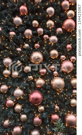 Shiny pink and gold baubles cover a lush Christmas tree with twinkling lights in a festive arrangement. Concept of glamour, seasonal celebration and decorative holiday elegance 134425067