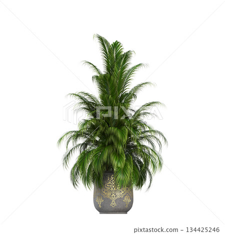decorative flowers and plants for the interior, isolated on transparent background, 3D illustration, cg render decorative flowers and plants for the interior, isolated on transparent background, 3D illustration, cg render 134425246