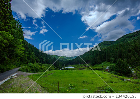 Summer blue sky and Satoyama - Japanese rural landscape with rice fields Summer blue sky and Satoyama - Japanese rural landscape with rice fields 134426155