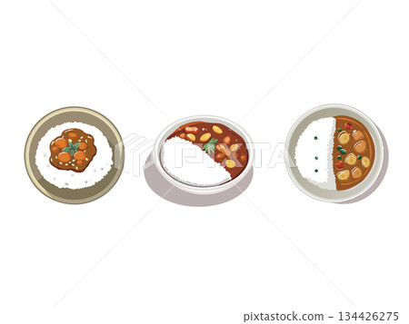 矢量圖的咖哩和米飯 矢量圖的咖哩和米飯 134426275