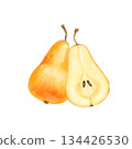 Hand-drawn illustration of two yellow pears, one whole and one halved. Perfect for elegant food-related designs, autumn themes, and recipe cards 134426530