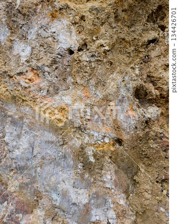 Soil Texture on a cut earth side with details 134426701
