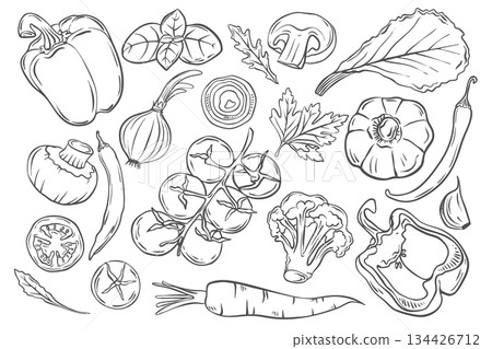 Hand-drawn outline icons of vegetables. Healthy eating. Doodle style illustration. 134426712