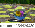 tranparent ball reflecting two flowers 134426880