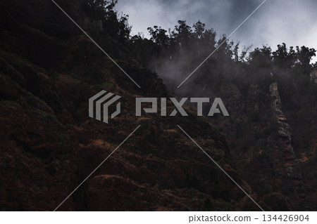 Silhouettes of rugged hillside with scattered trees against a smoky, dark night sky Silhouettes of rugged hillside with scattered trees against a smoky, dark night sky 134426904