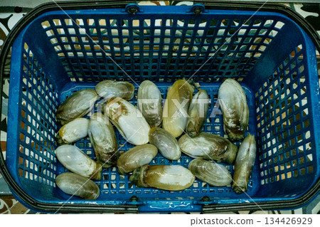 Fresh clams in blue basket on patterned surface ready for cooking 134426929