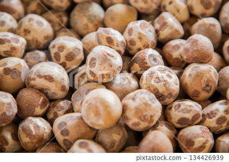 lot Dried Betel Nut, Areca Nut, Areca catechu Background lot Dried Betel Nut, Areca Nut, Areca catechu Background 134426939