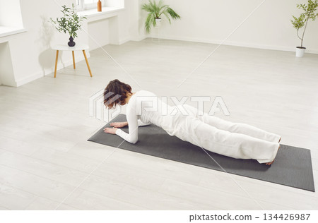 Active Woman Doing Plank Exercise In Gym Active Woman Doing Plank Exercise In Gym 134426987
