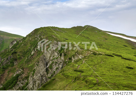 Lit by morning sun wide green valley, hills covered with grass and distant misty mountain rocks under bright blue summer sky and white puffy clouds. Beauty of nature, tourism and traveling concept. 134427276