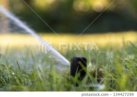 Irrigation automatic sprinkler for lawn watering. Keeping grass green during dry season Irrigation automatic sprinkler for lawn watering. Keeping grass green during dry season 134427299