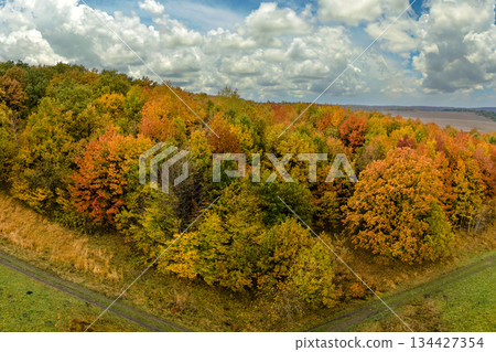 Forest with dirt road offroad car trail and colorful canopies in autumn woods on sunny day. Landscape of autumnal wild nature Forest with dirt road offroad car trail and colorful canopies in autumn woods on sunny day. Landscape of autumnal wild nature 134427354