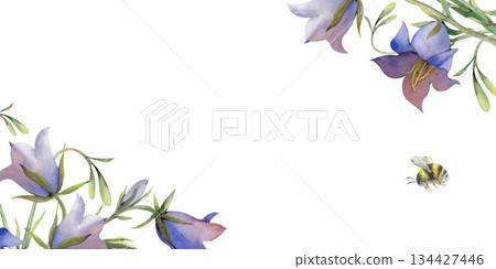Rectangular frame with bells and a flying bumblebee on an isolated background. Watercolor illustration of realistic wildflowers. Floral template with an empty place to insert for postcards Rectangular frame with bells and a flying bumblebee on an isolated background. Watercolor illustration of realistic wildflowers. Floral template with an empty place to insert for postcards 134427446