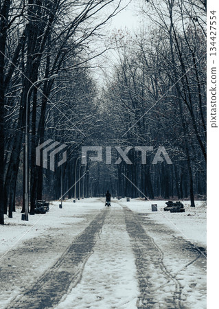 Snowy Path Through a Winter Forest with Tire Tracks 134427554