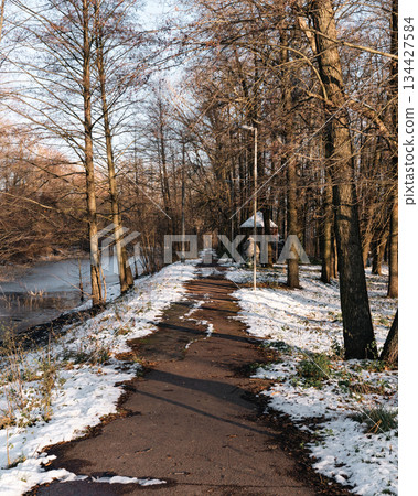 Snowy path in a forest on a late afternoon of winte Snowy path in a forest on a late afternoon of winte 134427584