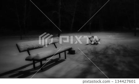 Winter park at night with decorations 134427601