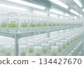 Rows of plant specimens in glass jars on shelves in lab, smart farming concept Rows of plant specimens in glass jars on shelves in lab, smart farming concept 134427670
