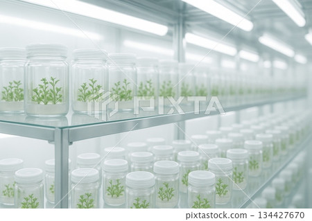 Rows of plant specimens in glass jars on shelves in lab, smart farming concept Rows of plant specimens in glass jars on shelves in lab, smart farming concept 134427670