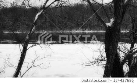 winter river and trees in winter season 134427686