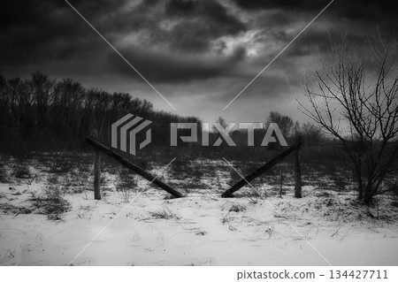 Black and white photo of a natural path in the woods Black and white photo of a natural path in the woods 134427711