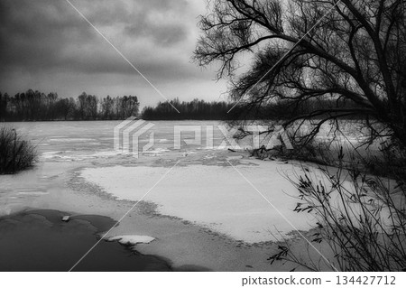 winter river and trees in winter season winter river and trees in winter season 134427712