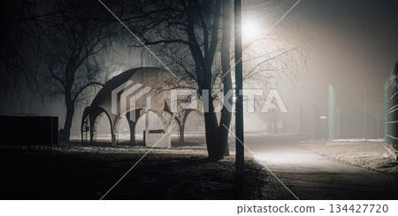 Futuristic Pavilion in Foggy Winter Night 134427720