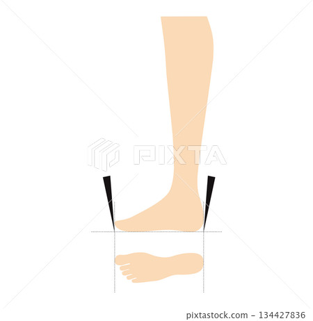 Shoe sizing measurement guide flat. Calf circumference, ankle ball girth for apparel industry design catalog footwear 134427836