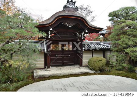 永觀堂禪林寺的秋天：從釋迦堂看到的唐門和森砂（京都市左京區） 134429049