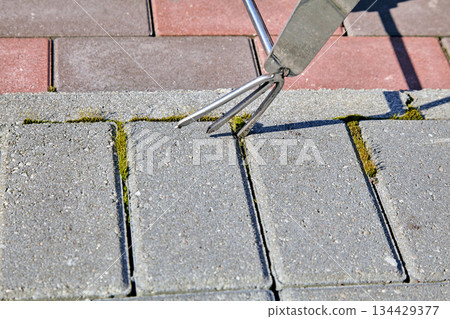 Cleaning moss from concrete paving slabs using a tool Cleaning moss from concrete paving slabs using a tool 134429377