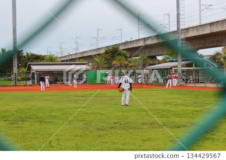 play baseball 134429567