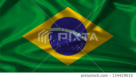 National flag of Brazil with cloth texture. Brazil flag with realistic texture background 134429618