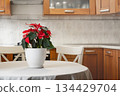 Traditional Christmas red poinsettia flower on kitchen table. Xmas cozy home decorations. Modern holiday interior. 134429704