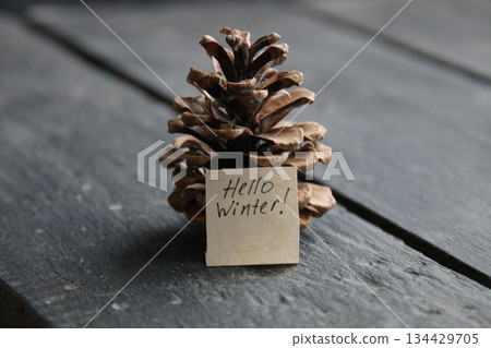 Holiday winter greeting with text hello winter. New Year's eve concept. Holiday winter greeting with text hello winter. New Year's eve concept. 134429705