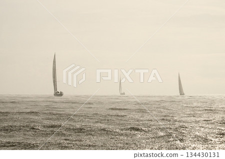 Sailing regatta in the Gulf of Finland in heavily rain, few sailing yachts competing in a race, splashing water from under the boats, teamwork, board the boat Sailing regatta in the Gulf of Finland in heavily rain, few sailing yachts competing in a race, splashing water from under the boats, teamwork, board the boat 134430131