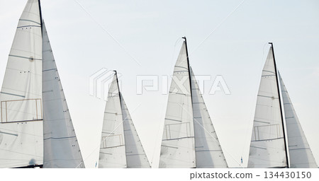 multiple sails at the sailing regatta in the Gulf of Finland, hot race of several yachts, nobody 134430150