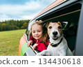 Family travels using a car-sharing service. Happy child and jack russell terrier dog looking from car window. 134430618