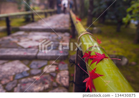 Falling autumn leaves on the bamboo fence (Koetsuji Temple)_4131 Falling autumn leaves on the bamboo fence (Koetsuji Temple)_4131 134430875