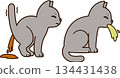 Cartoon cat vomiting and diarrhea 134431438