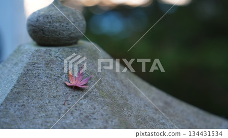 絢麗多彩的秋景 絢麗多彩的秋景 134431534