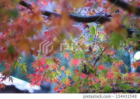 絢麗多彩的秋景 134431548