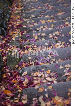 Colorful autumn scenery 134431549