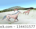 Horse galloping across the snowy plains 134431577