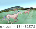 Horse running in the meadow 134431578