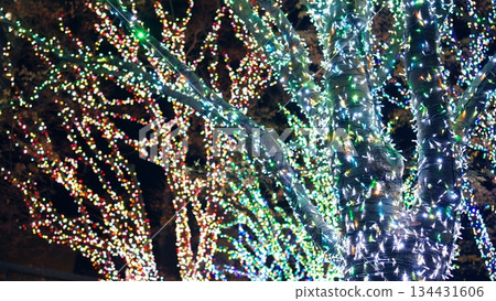 Christmas illumination Christmas illumination 134431606
