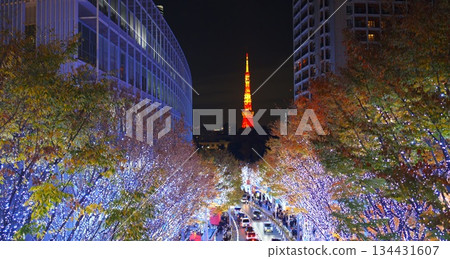 Christmas illumination  134431607