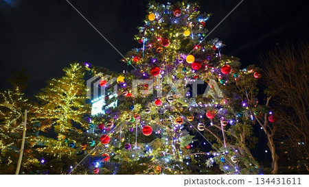 聖誕節照明 134431611