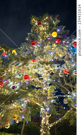 Christmas illumination Christmas illumination 134431614