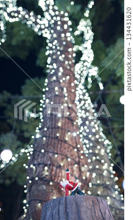 Christmas illumination  134431620