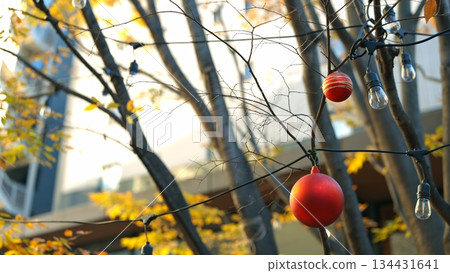 Christmas illumination  134431641